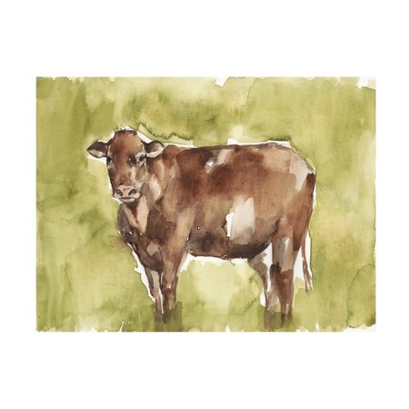 Jennifer Goldberger 'Cow In The Field II' Canvas Art, 24x32